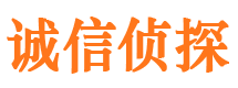 灵石外遇调查取证